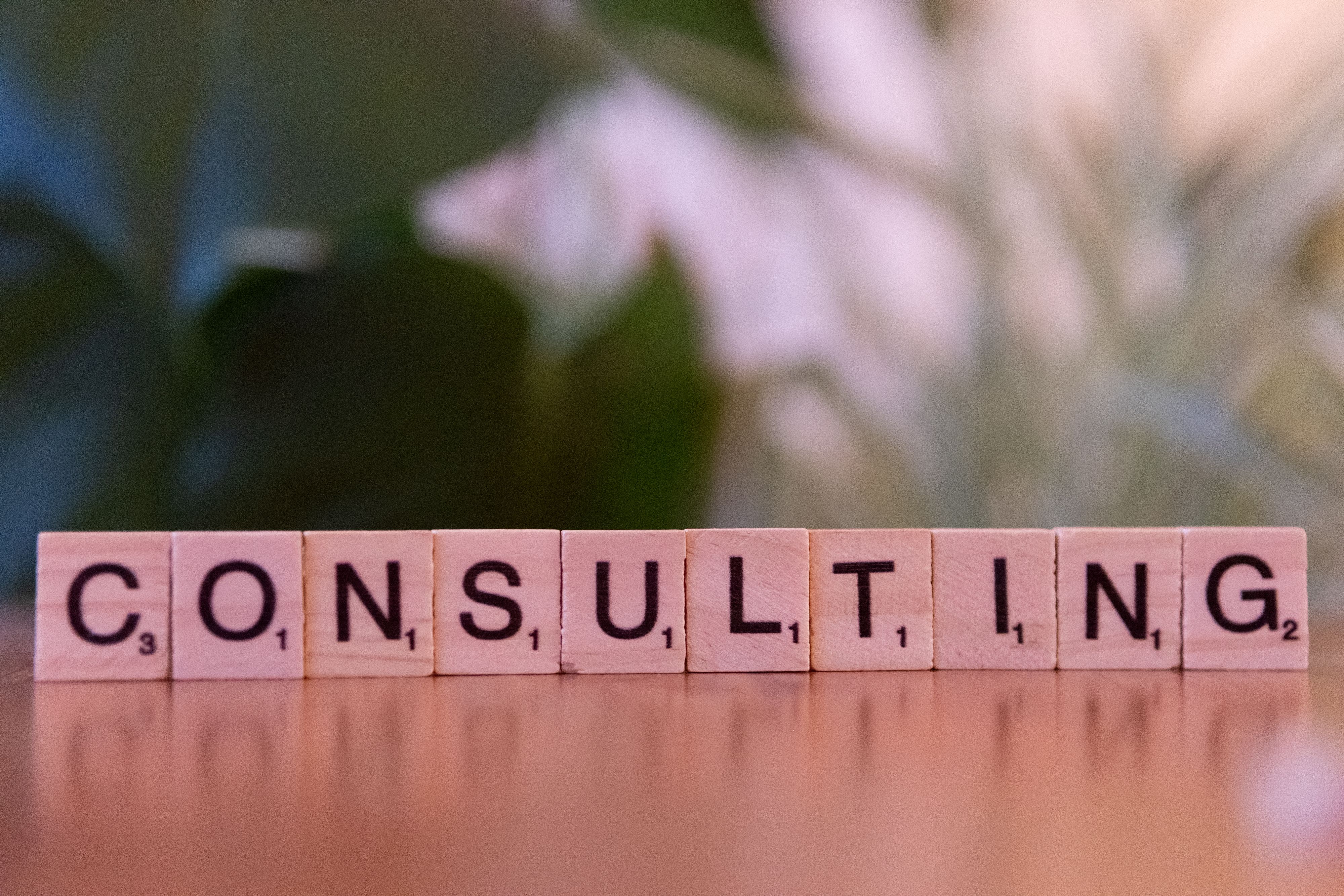 Professional Consulting